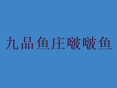 九品鱼庄啵啵鱼代理
